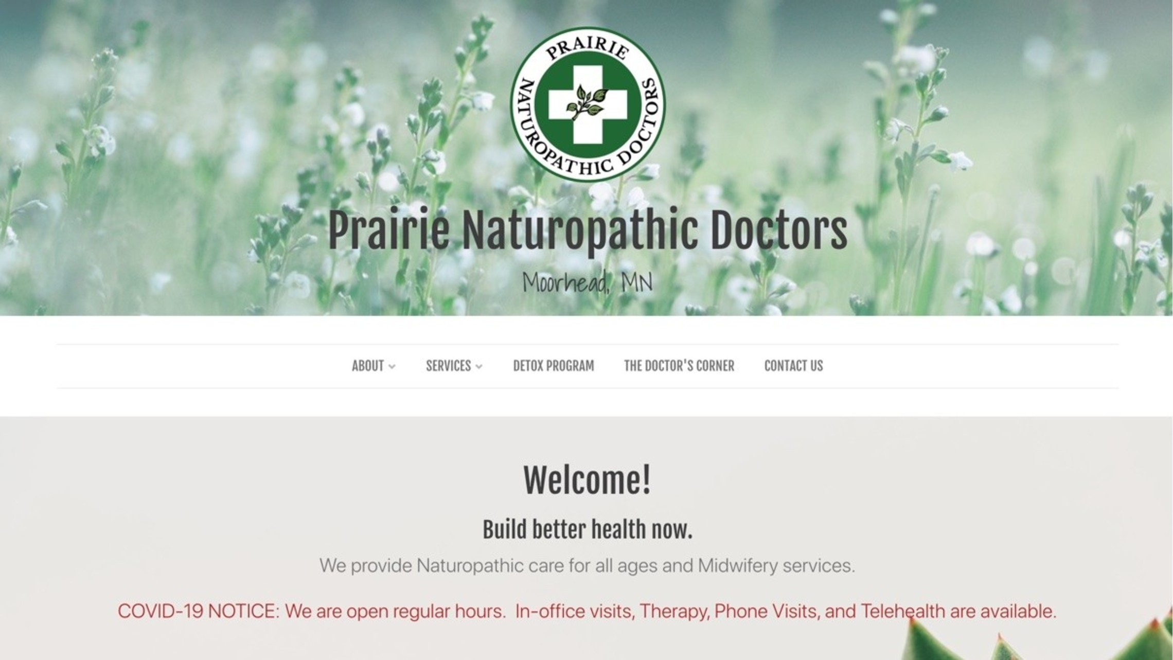 Prairie Naturopathic Doctors